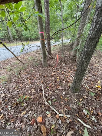 a view of a tree in the yard