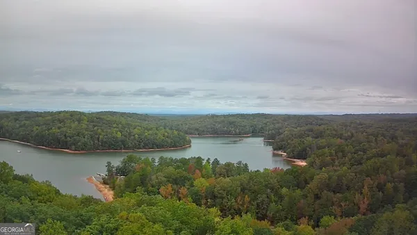 a view of a lake with a city