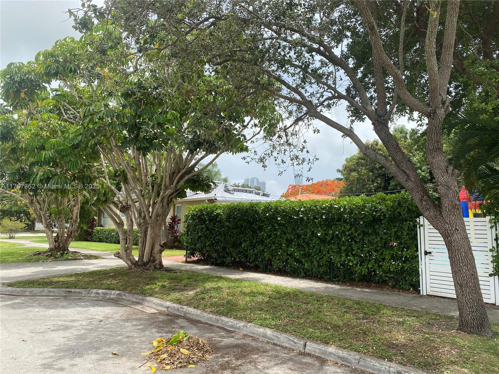 790 Southwest 21st Road Miami, FL 33129 - Photo 66 of 83 a view of a yard with plants and a large tree