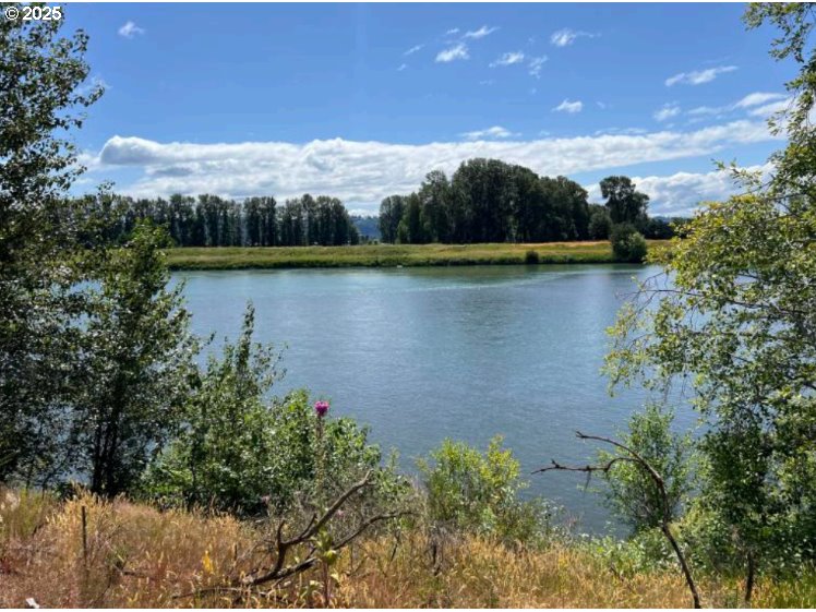 South River Road Kelso, WA 98626 - Photo 13 of 24