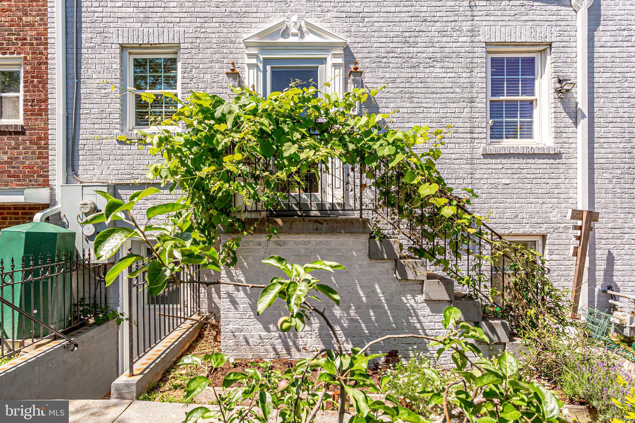 1742 D Street Northeast Washington, DC 20002 - Photo 36 of 50