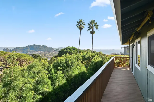 $2,575,000 | 46 McNear Drive, San Rafael, CA 94901