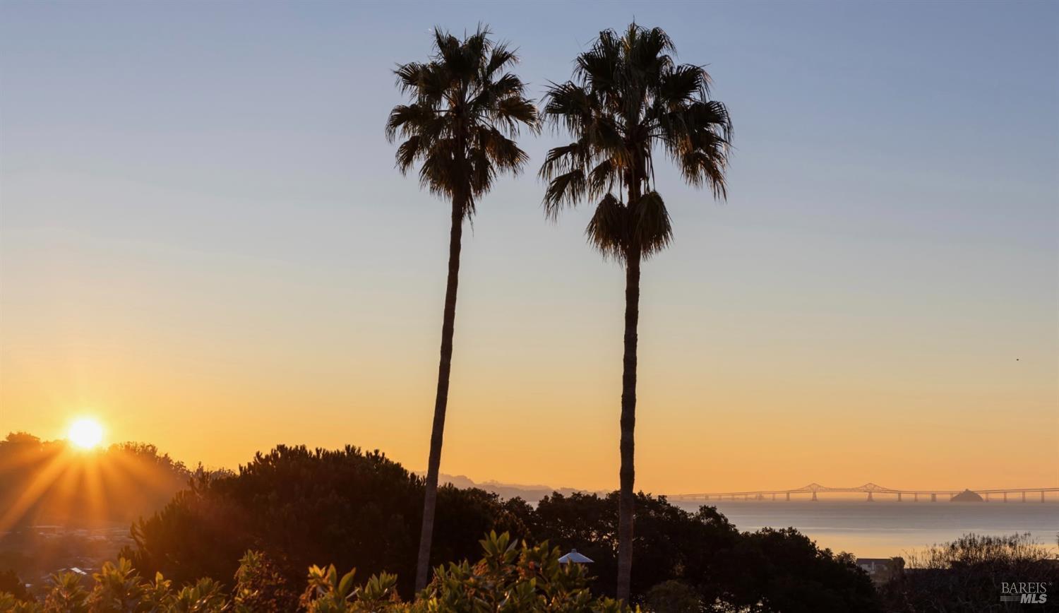 46 McNear Drive San Rafael, CA 94901 - Photo 45 of 50