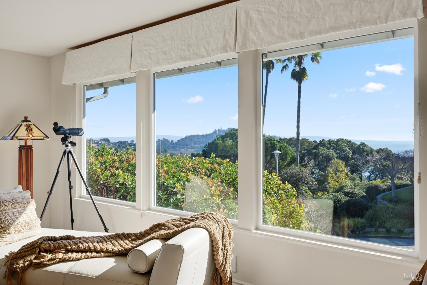 46 McNear Drive San Rafael, CA 94901 - Photo 6 of 50