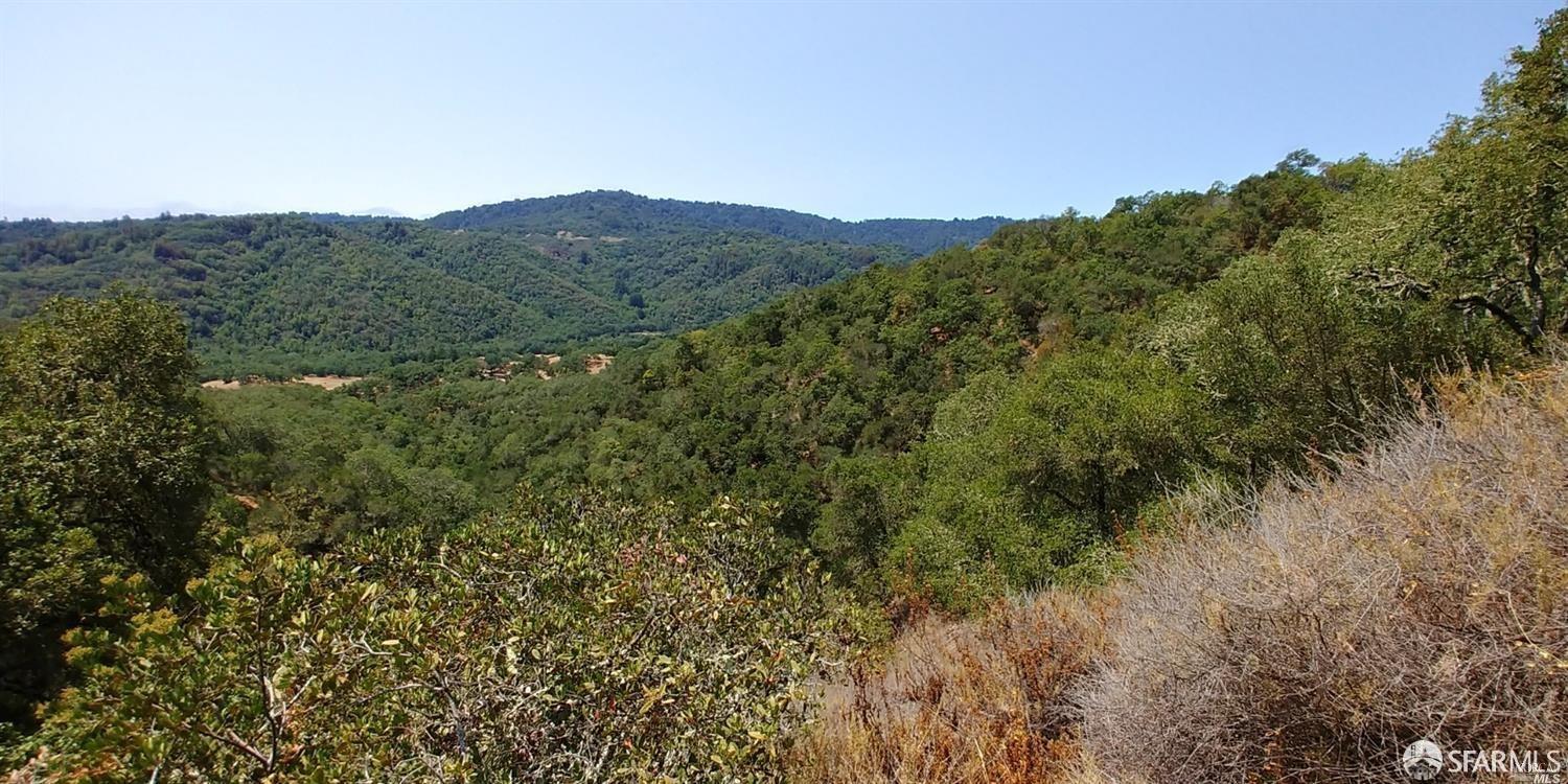 0 Poli Road Gilroy, CA 95020 - Photo 1 of 13