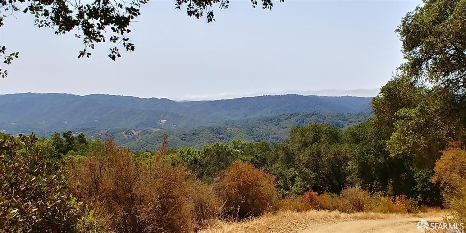 0 Poli Road Gilroy, CA 95020 - Photo 2 of 13