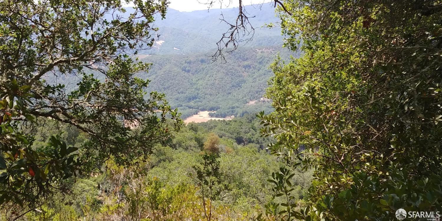 0 Poli Road Gilroy, CA 95020 - Photo 5 of 13