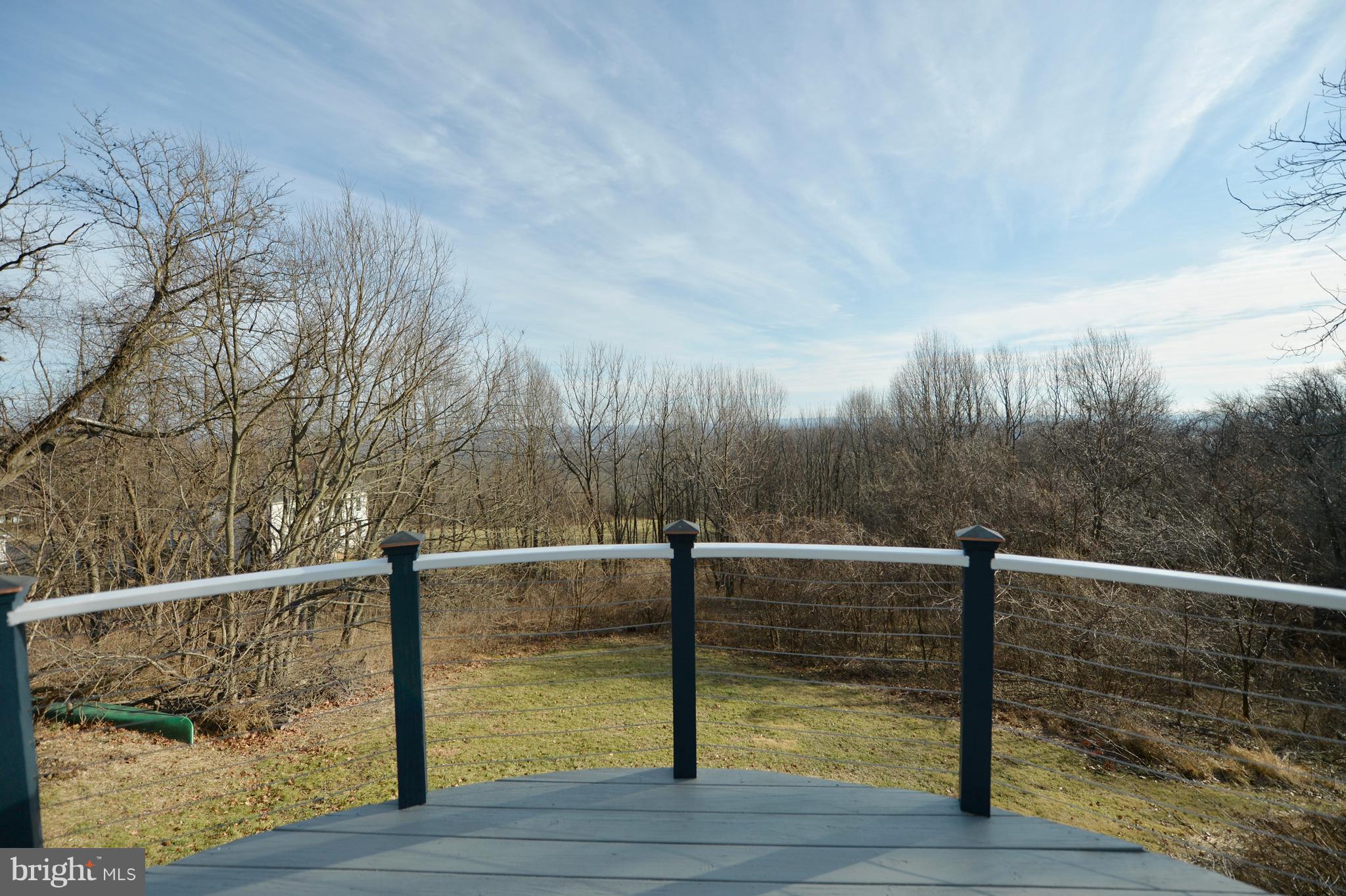 34973 Sunny Ridge Road Round Hill, VA 20141 - Photo 52 of 52 Upper level second master deck view