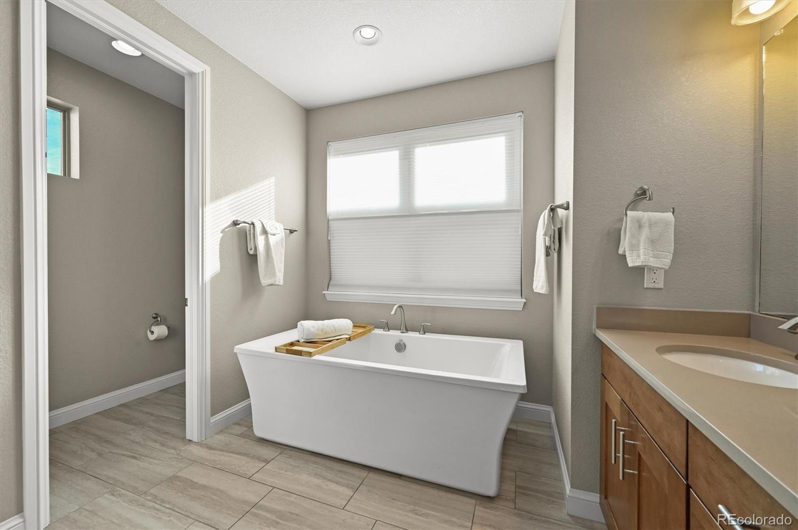 493 Meadowleaf Lane Highlands Ranch, CO 80126 - Photo 24 of 48