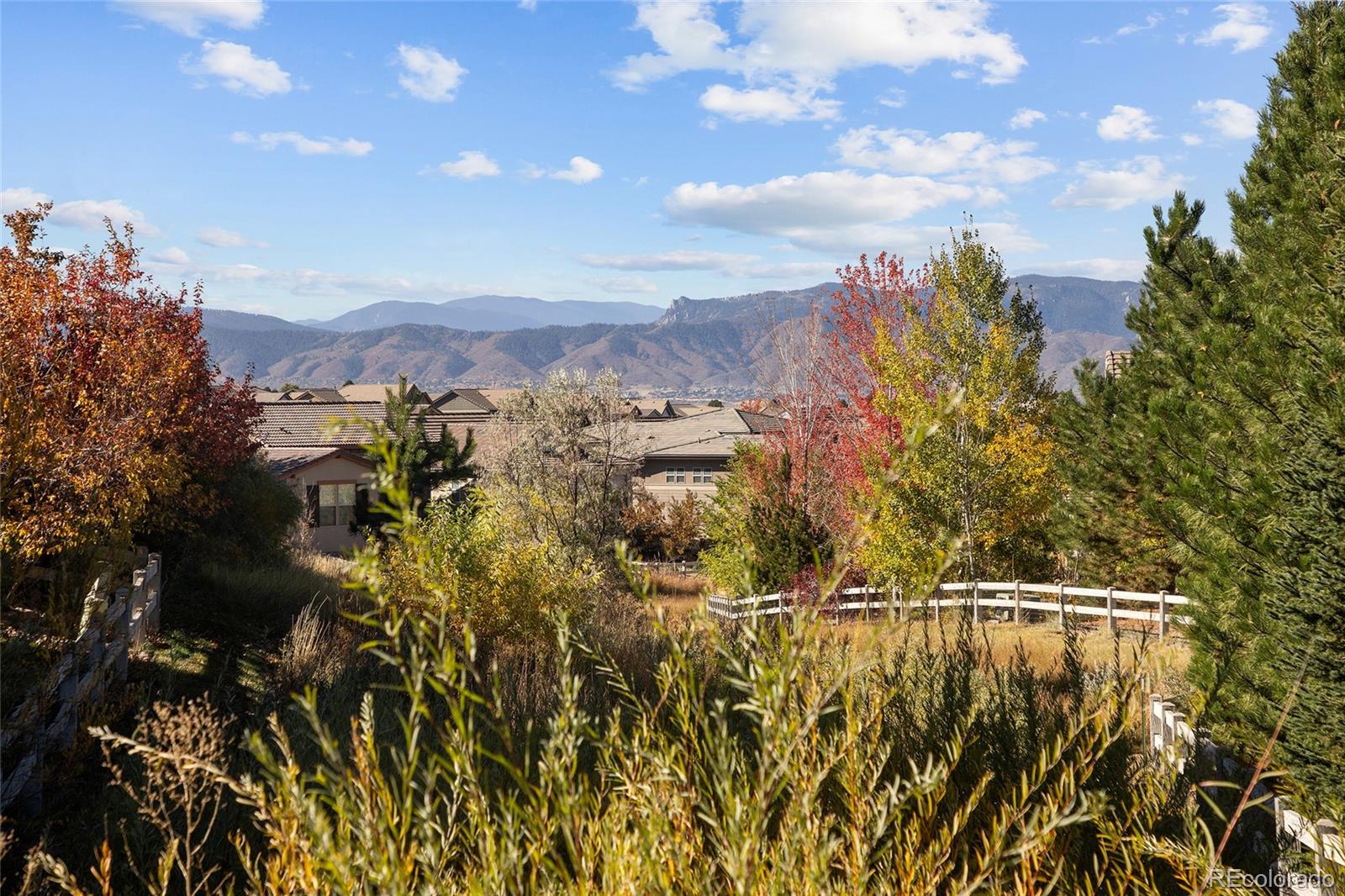 493 Meadowleaf Lane Highlands Ranch, CO 80126 - Photo 4 of 48 a view of lake with mountain