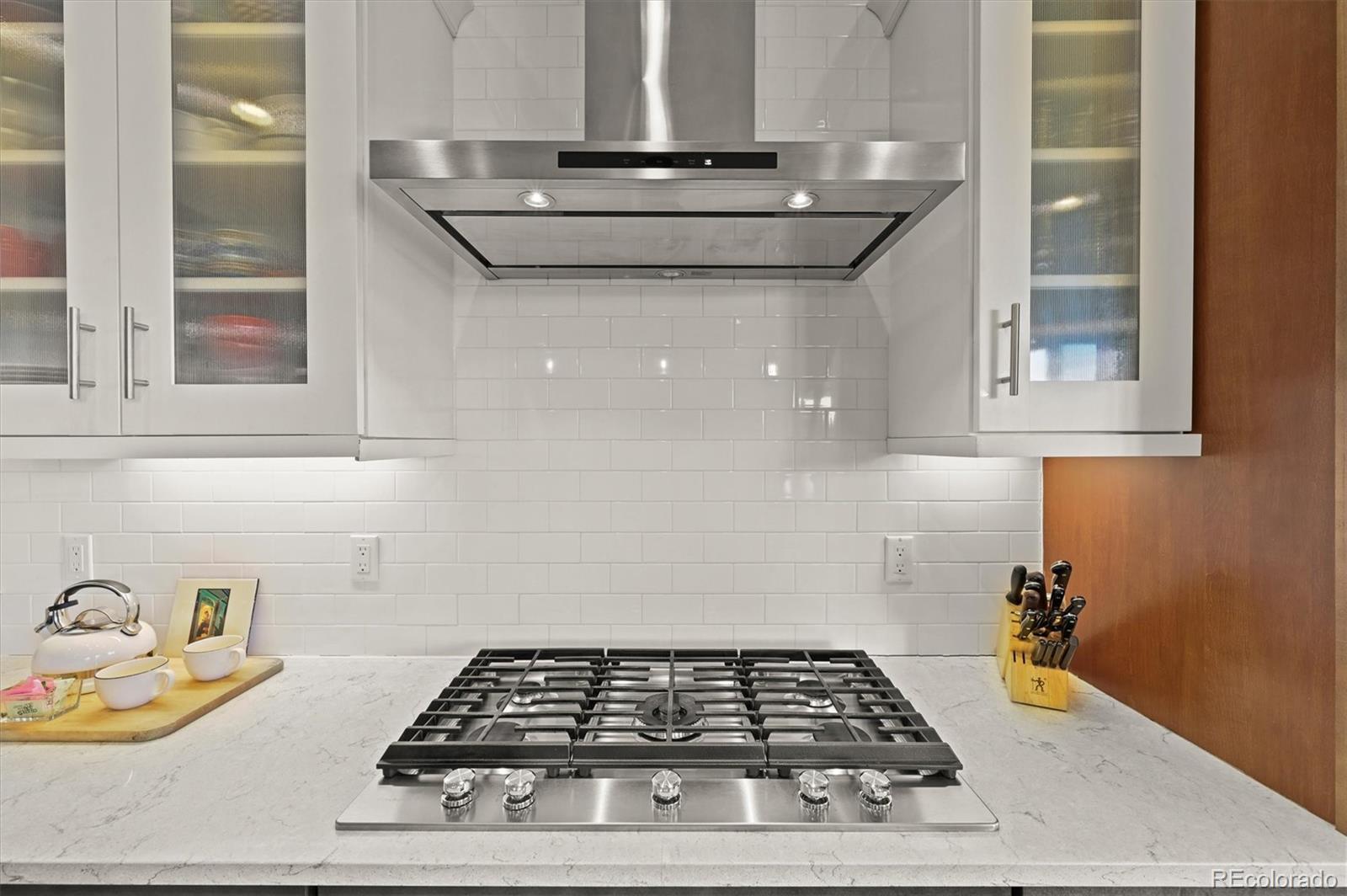 493 Meadowleaf Lane Highlands Ranch, CO 80126 - Photo 10 of 48