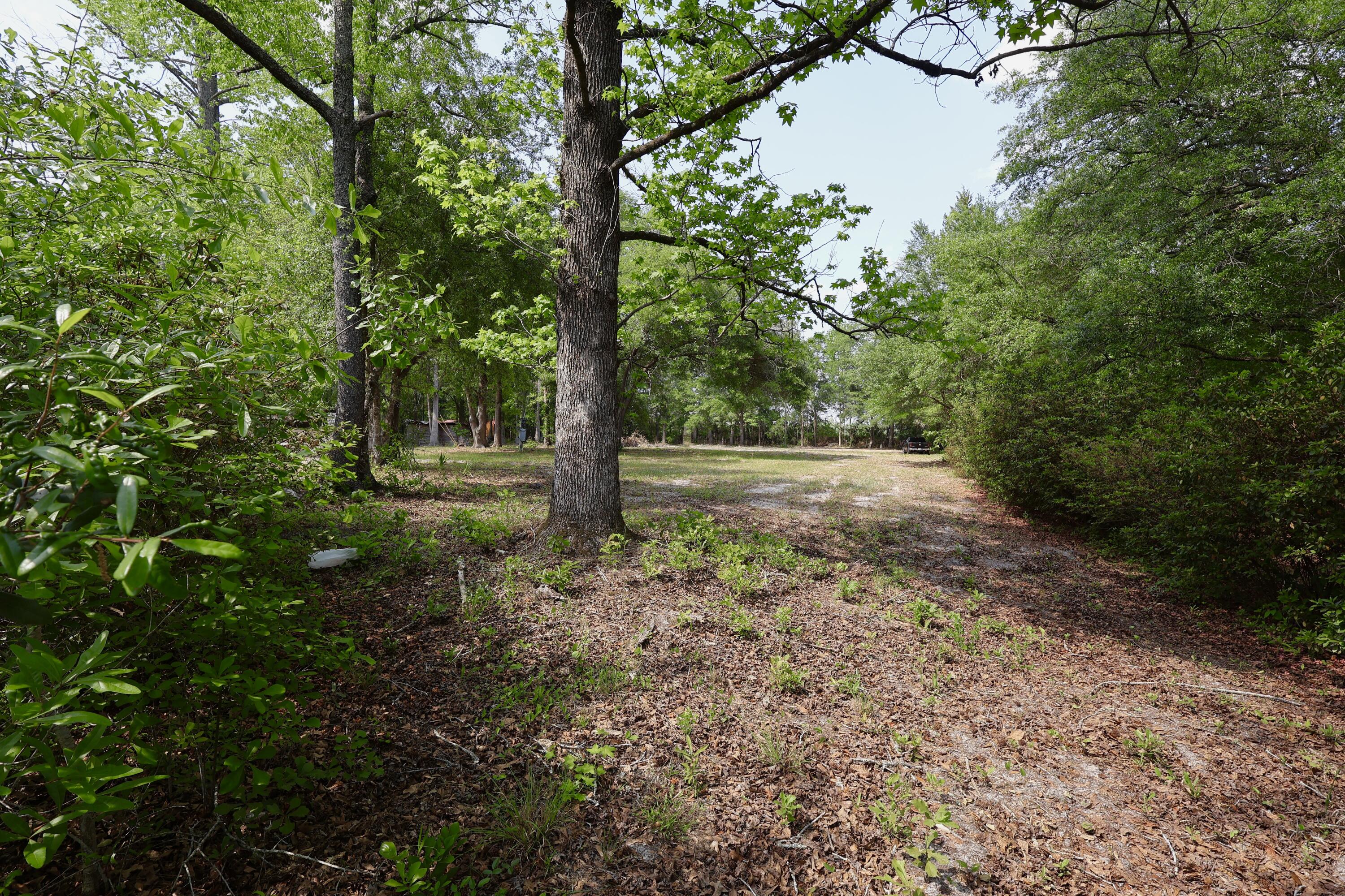 0 Mill Pond Road Dorchester, SC 29437 - Photo 9 of 12