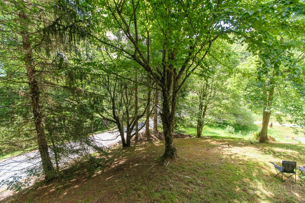 743 Little Laurel Rd Extension Boone, NC 28607 - Photo 38 of 41