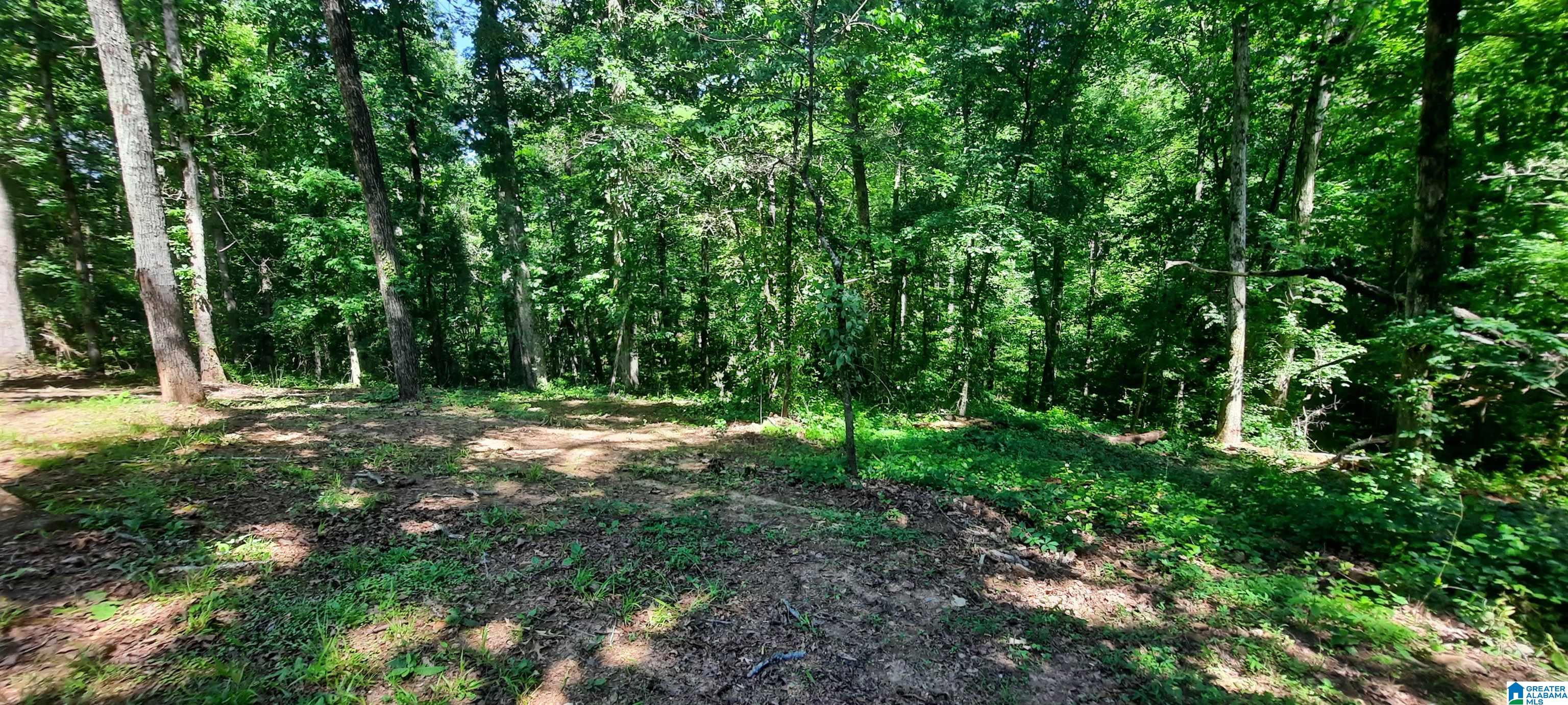 106 Roberts Circle Wedowee, AL 36278 - Photo 14 of 62
