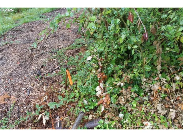 $465,000 | 21620 Glaze Road, Veneta, OR 97487