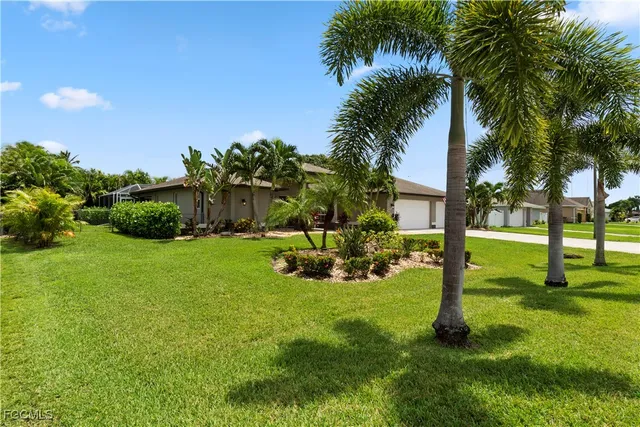 a view of a backyard with palm trees