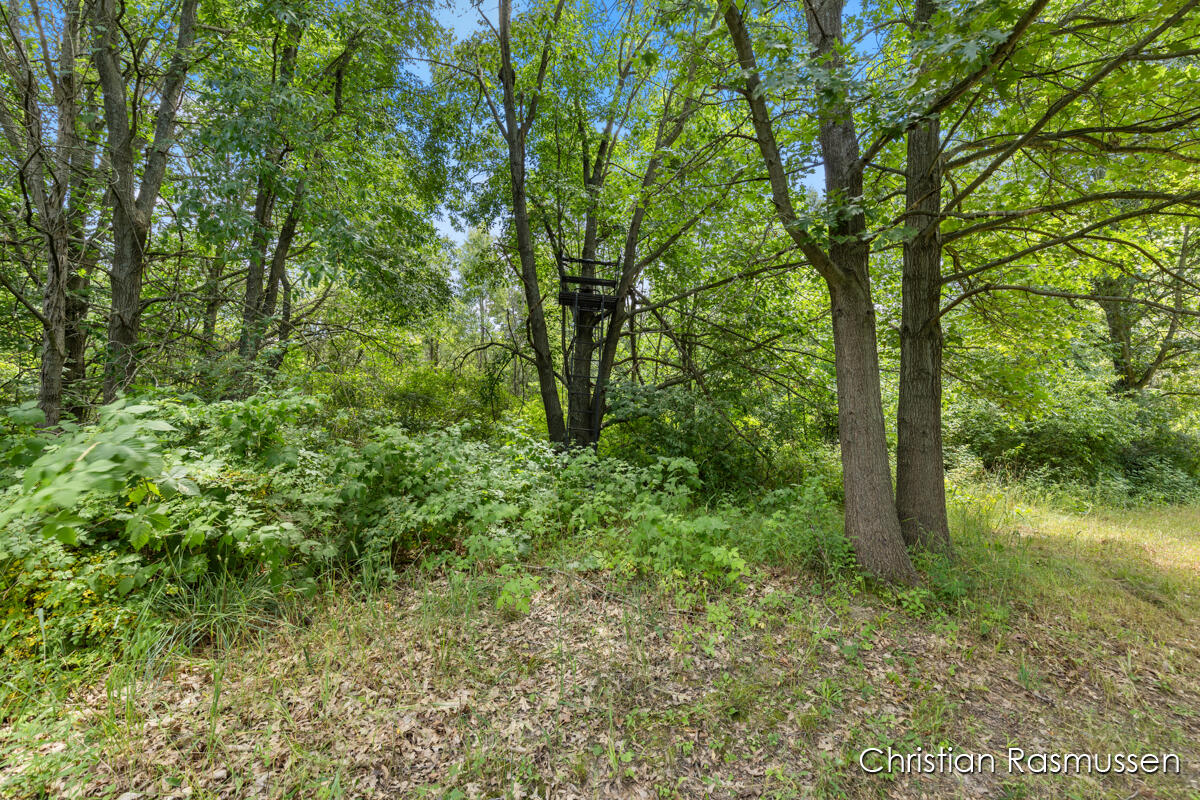 18 Dick Road Fenwick, MI 48834 - Photo 17 of 32 Tree Stand