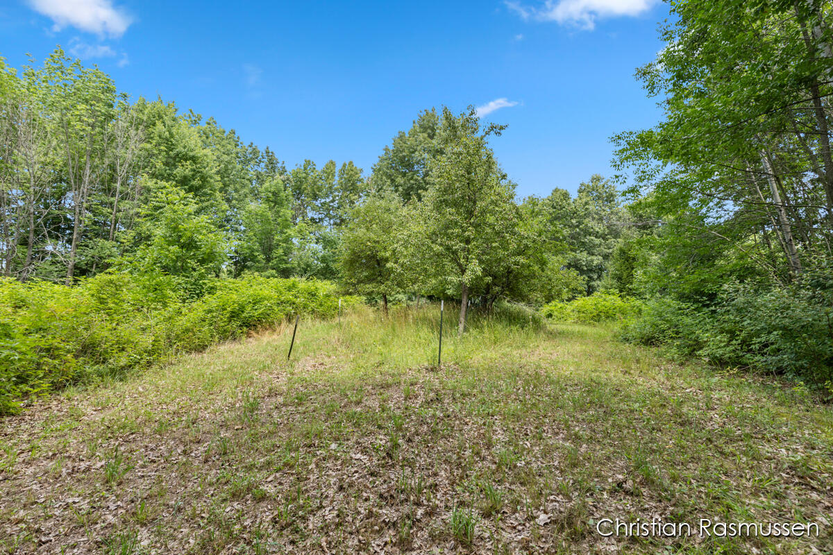 18 Dick Road Fenwick, MI 48834 - Photo 18 of 32 Apple Trees