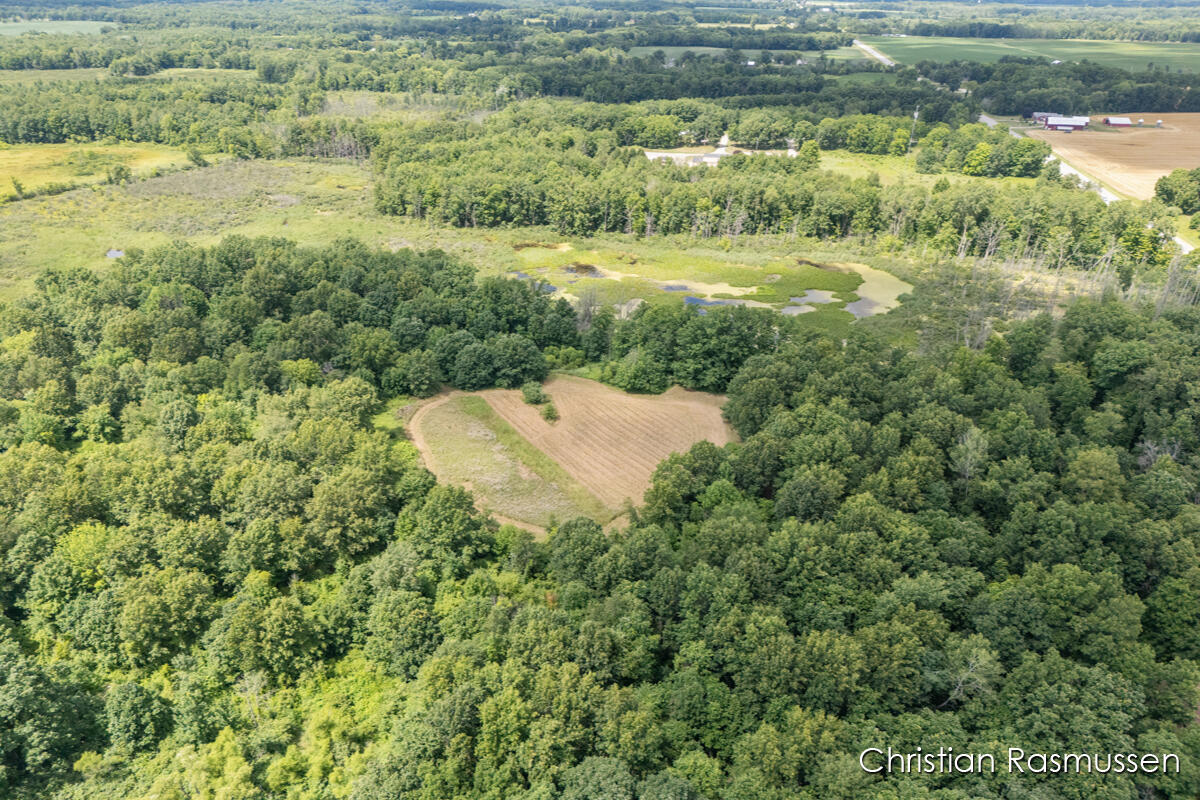 18 Dick Road Fenwick, MI 48834 - Photo 25 of 32 IMG_1024