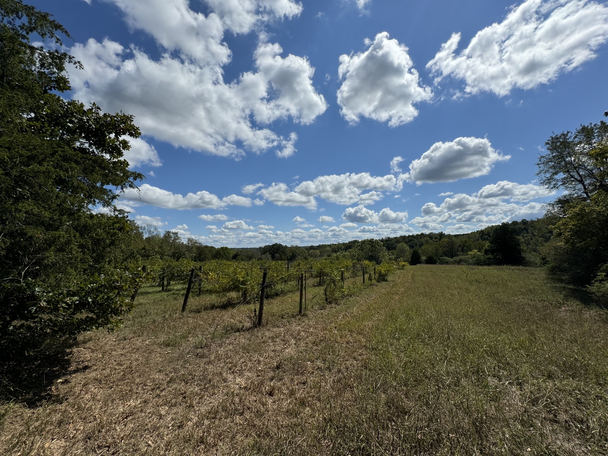 0 Highway 50 W Loop Centerville, TN 37033 - Photo 1 of 48