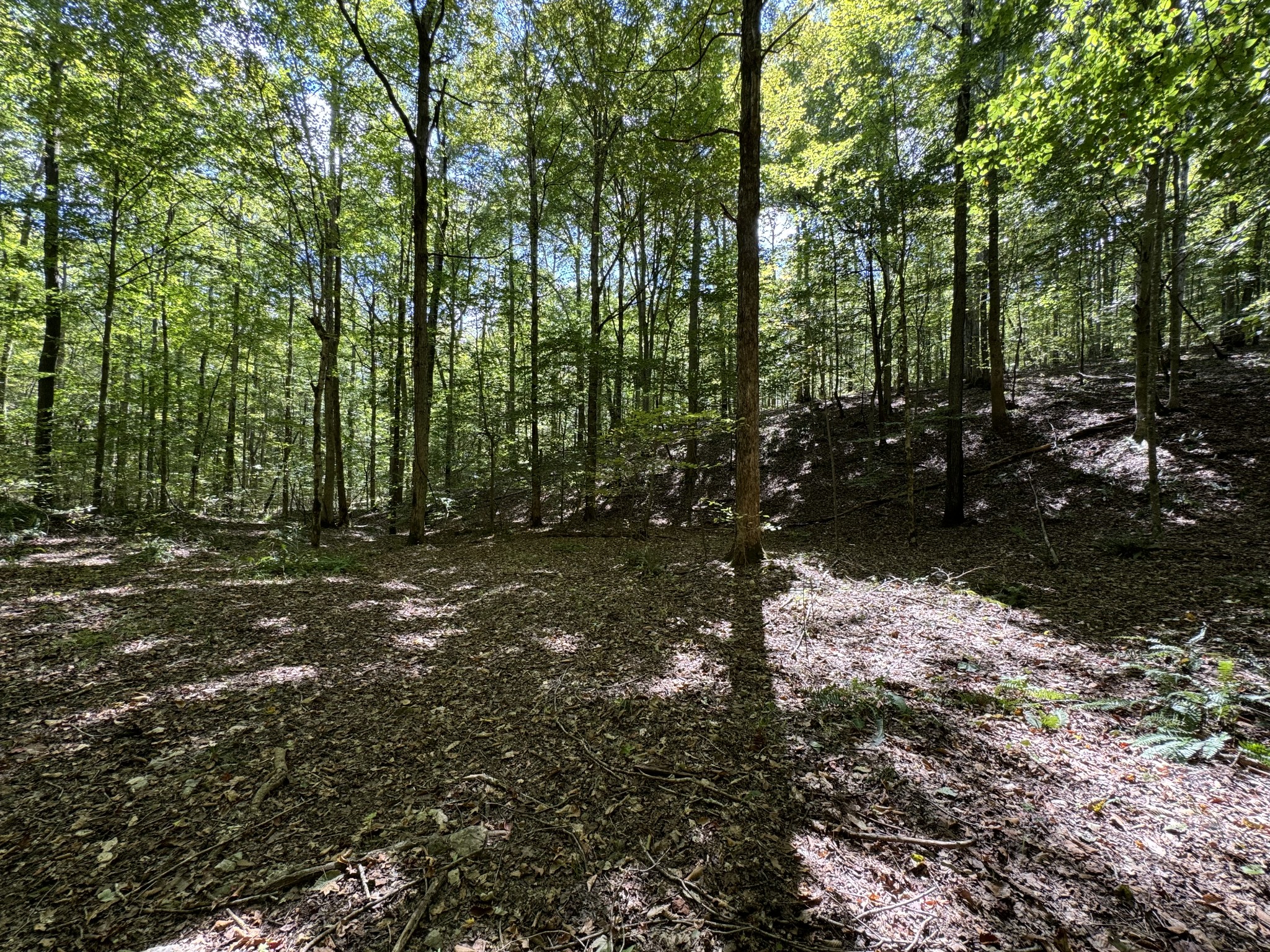 0 Highway 50 W Loop Centerville, TN 37033 - Photo 11 of 48