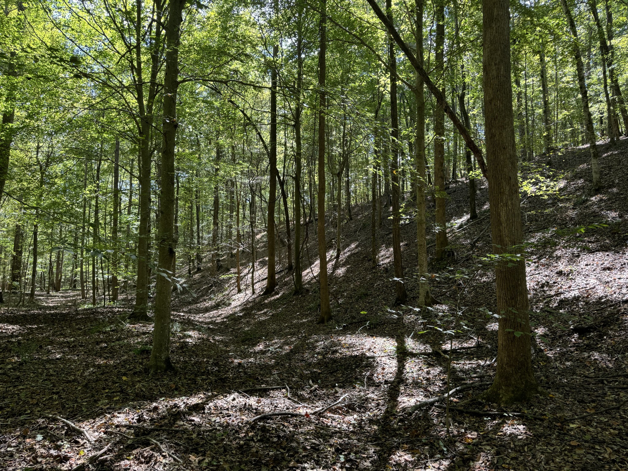 0 Highway 50 W Loop Centerville, TN 37033 - Photo 12 of 48