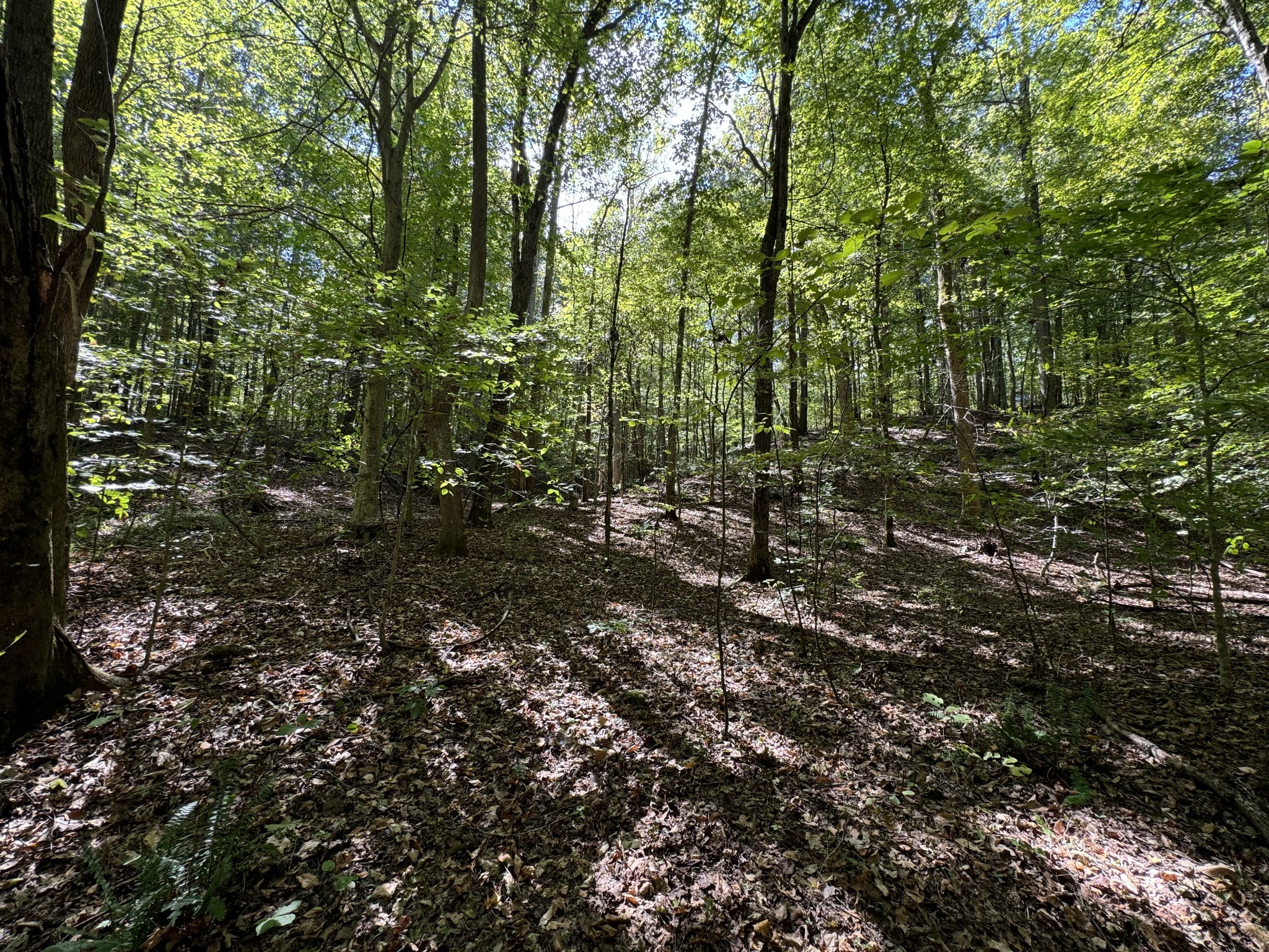 0 Highway 50 W Loop Centerville, TN 37033 - Photo 13 of 48