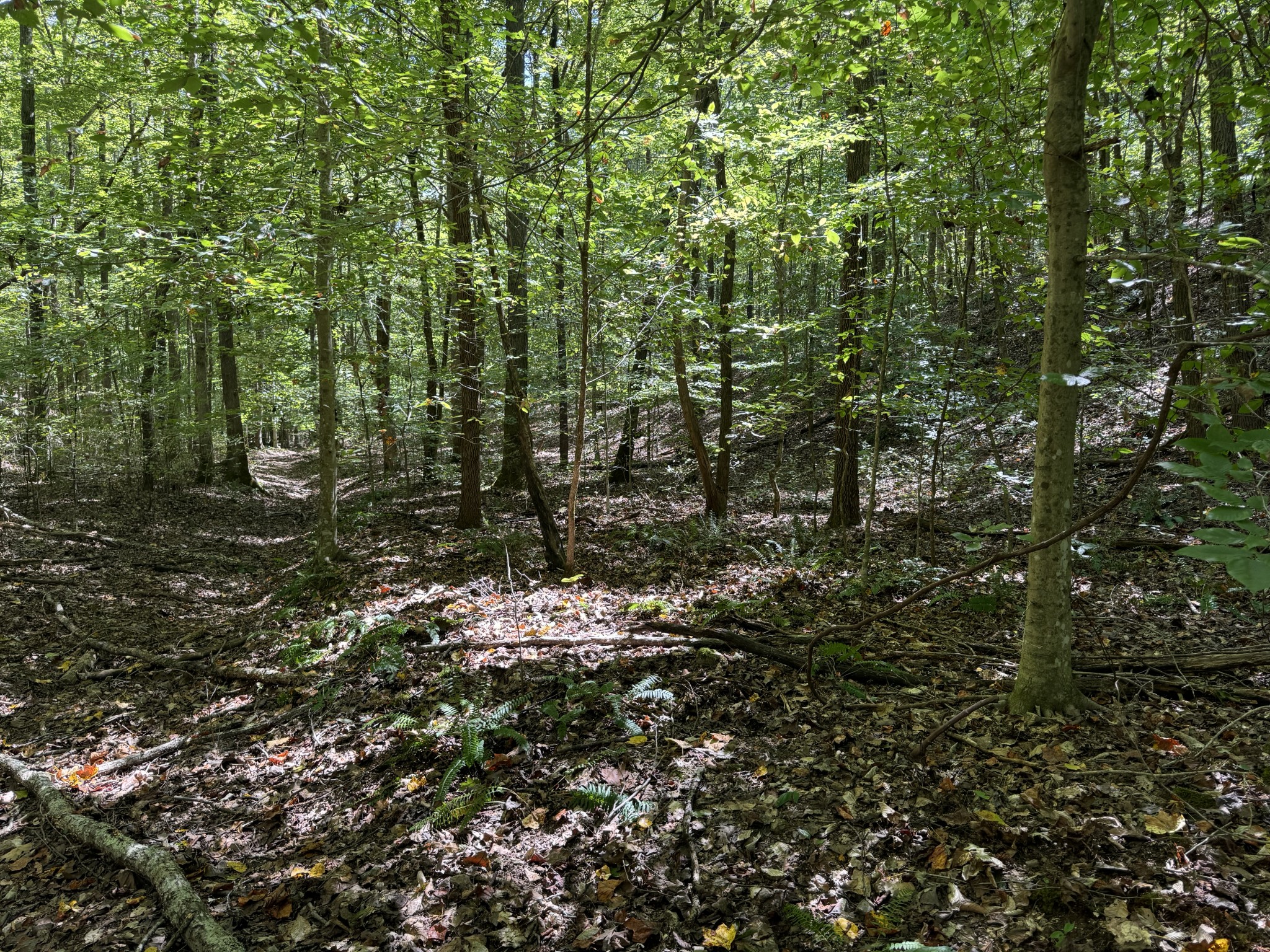 0 Highway 50 W Loop Centerville, TN 37033 - Photo 15 of 48