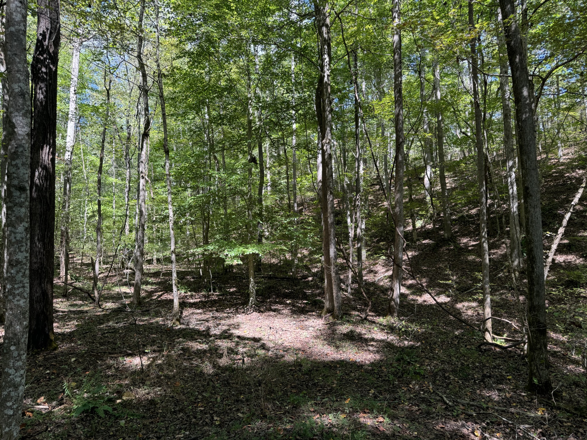 0 Highway 50 W Loop Centerville, TN 37033 - Photo 16 of 48