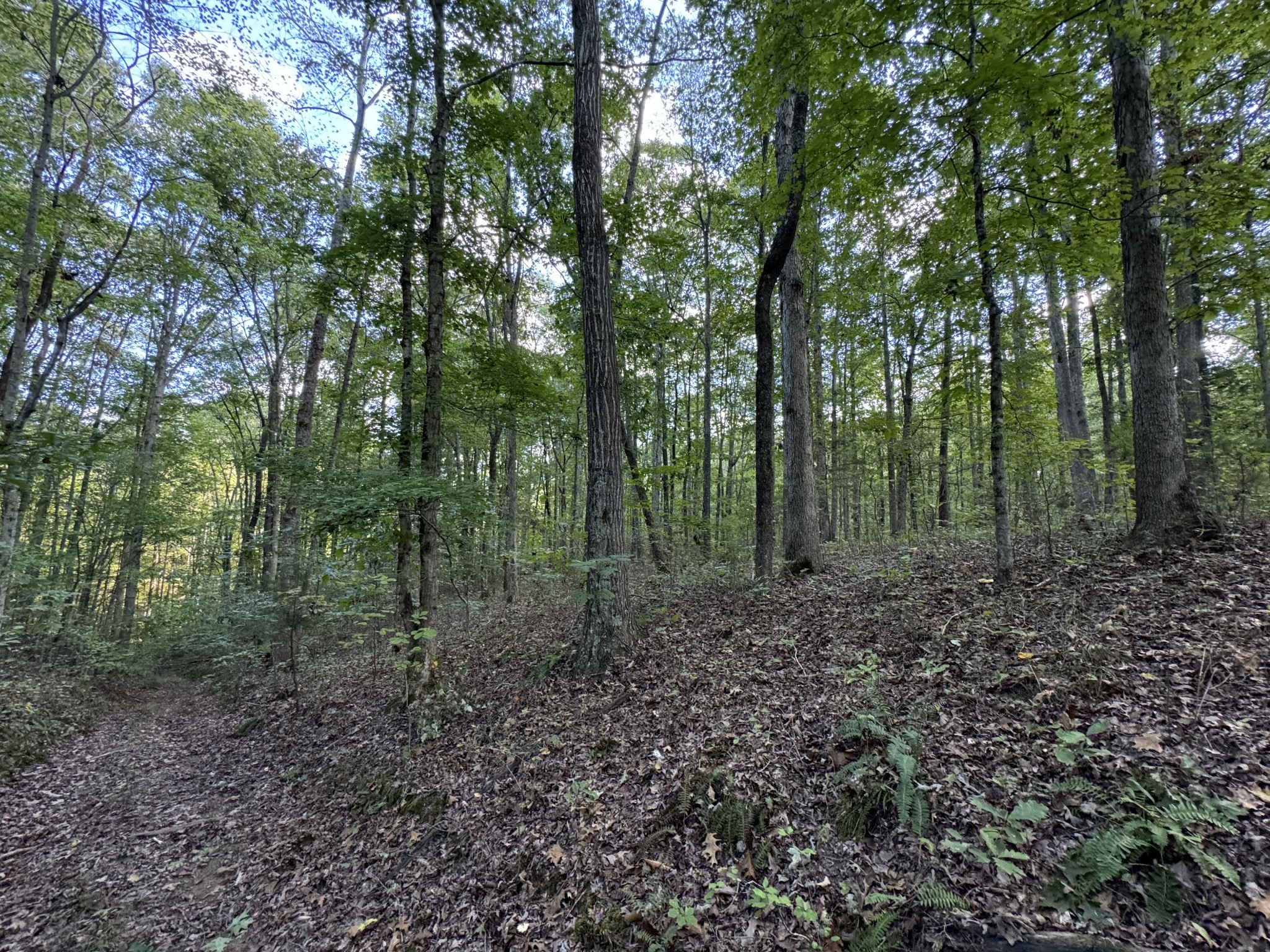 0 Highway 50 W Loop Centerville, TN 37033 - Photo 17 of 48