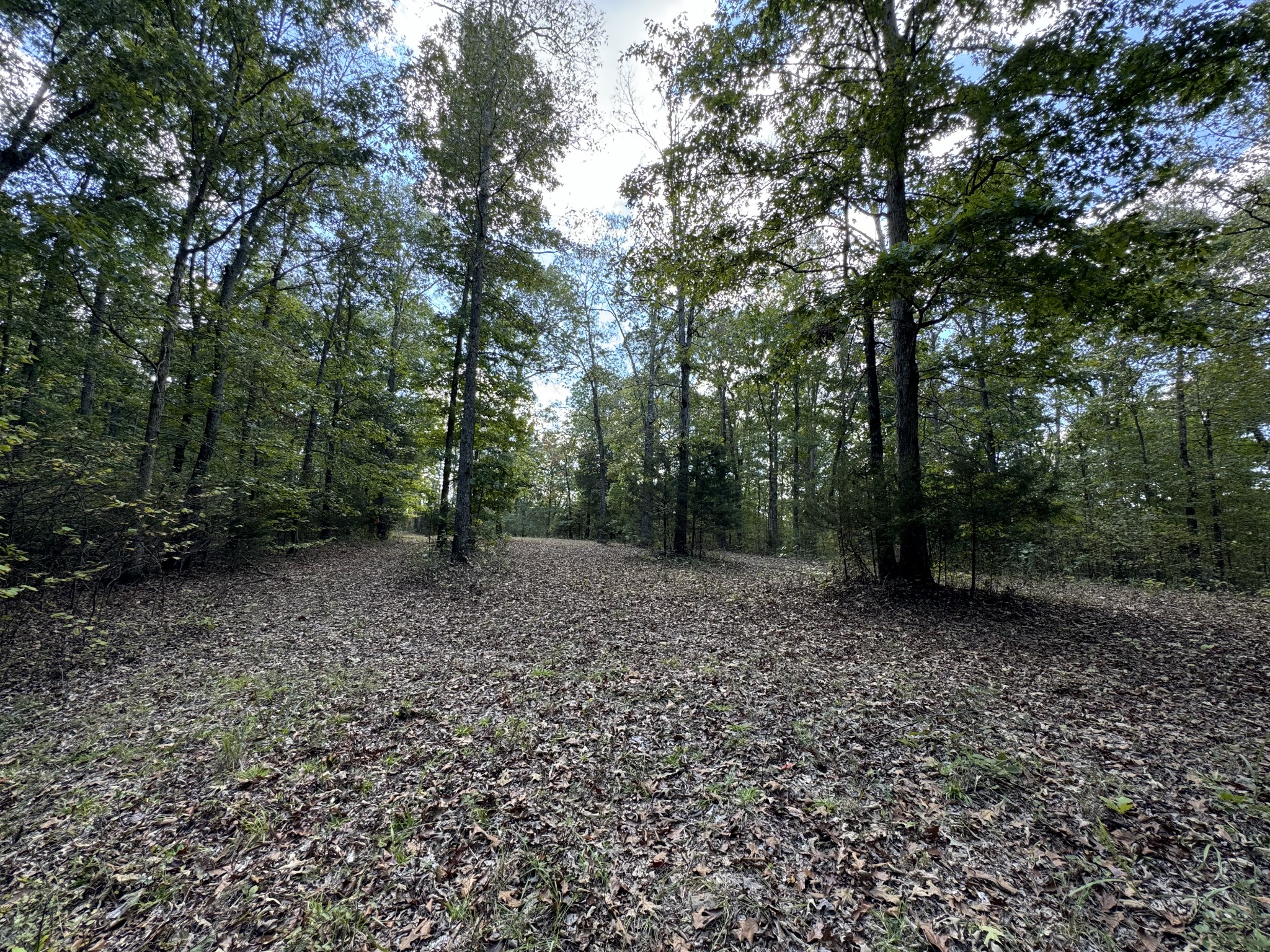 0 Highway 50 W Loop Centerville, TN 37033 - Photo 18 of 48