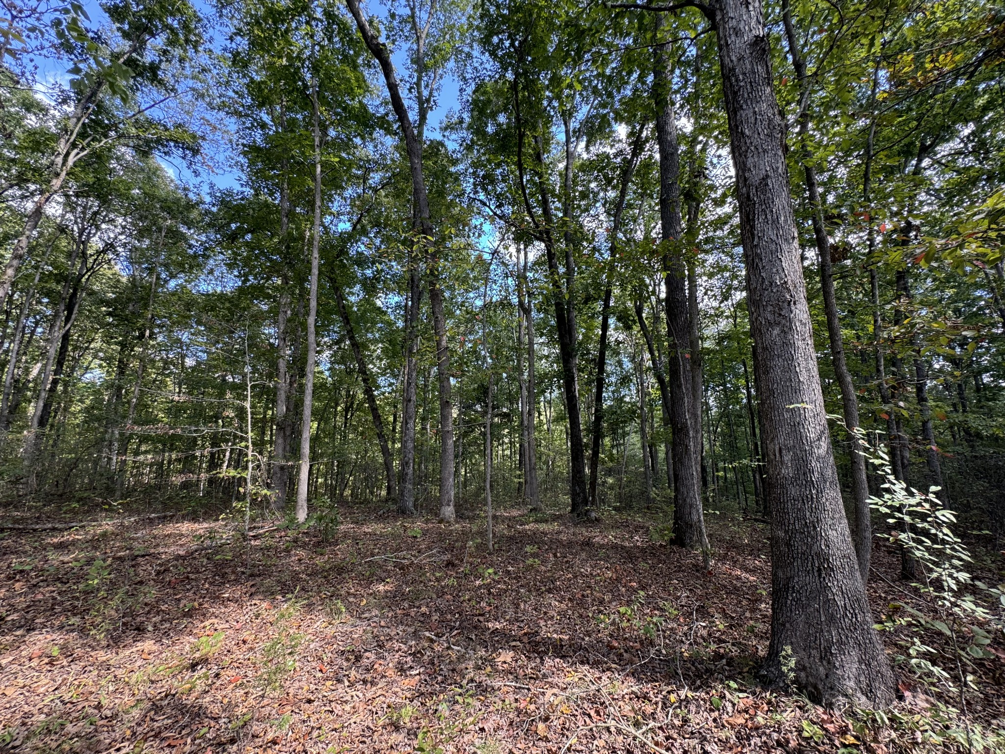 0 Highway 50 W Loop Centerville, TN 37033 - Photo 19 of 48