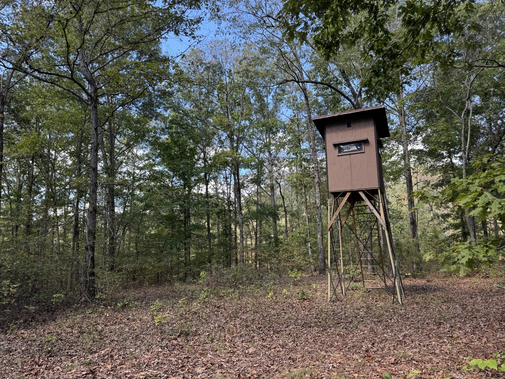 0 Highway 50 W Loop Centerville, TN 37033 - Photo 20 of 48