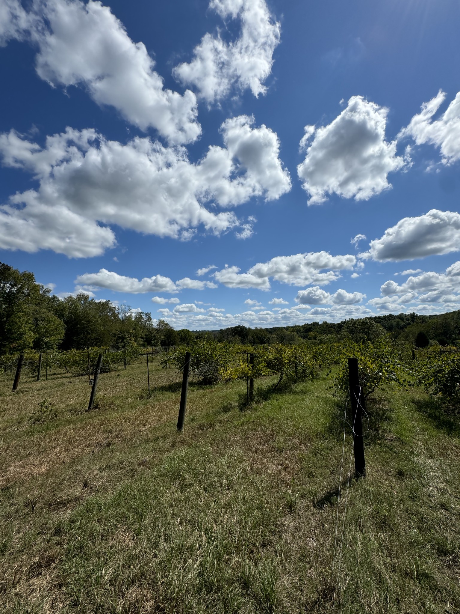 0 Highway 50 W Loop Centerville, TN 37033 - Photo 2 of 48