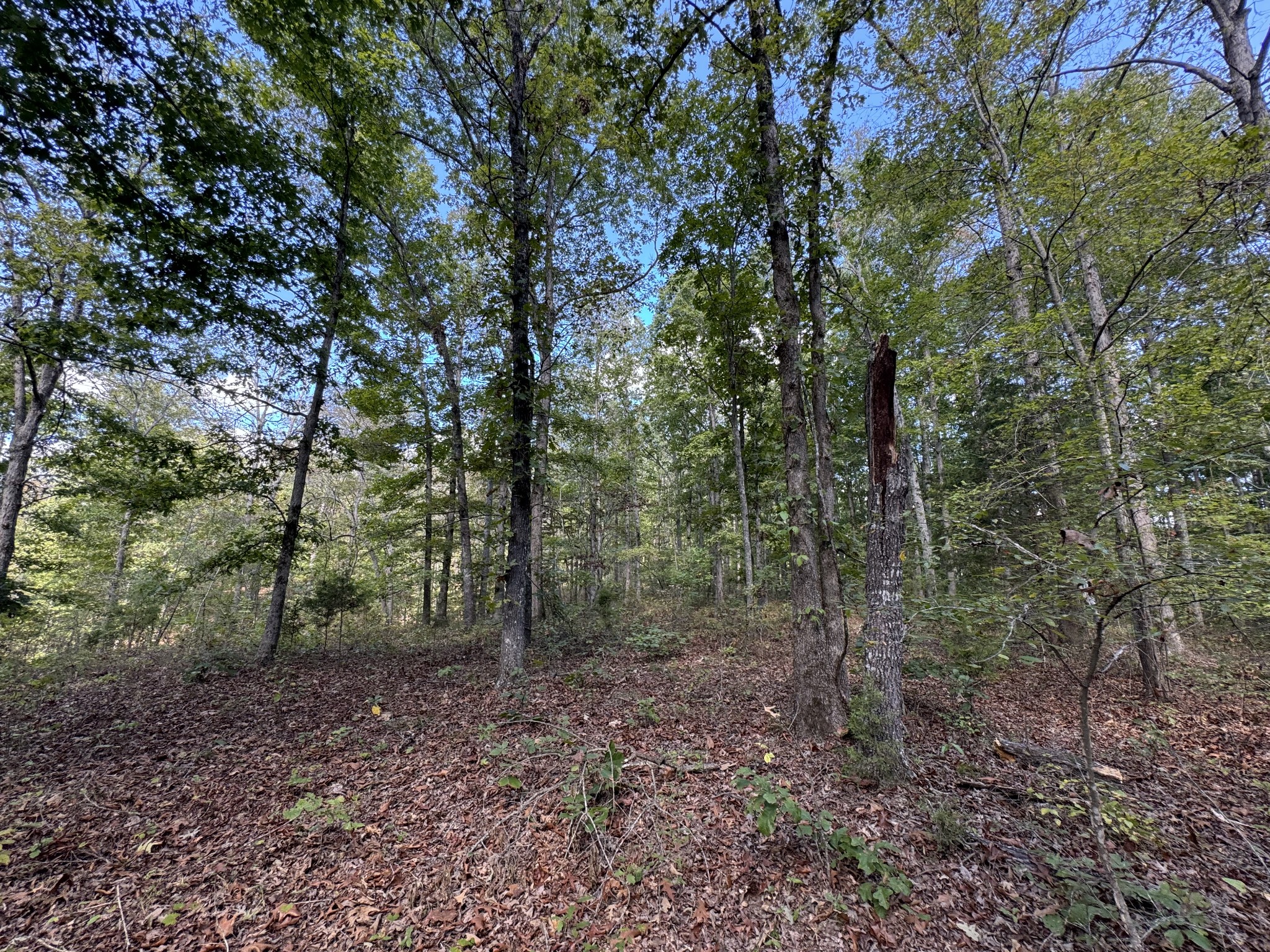 0 Highway 50 W Loop Centerville, TN 37033 - Photo 21 of 48