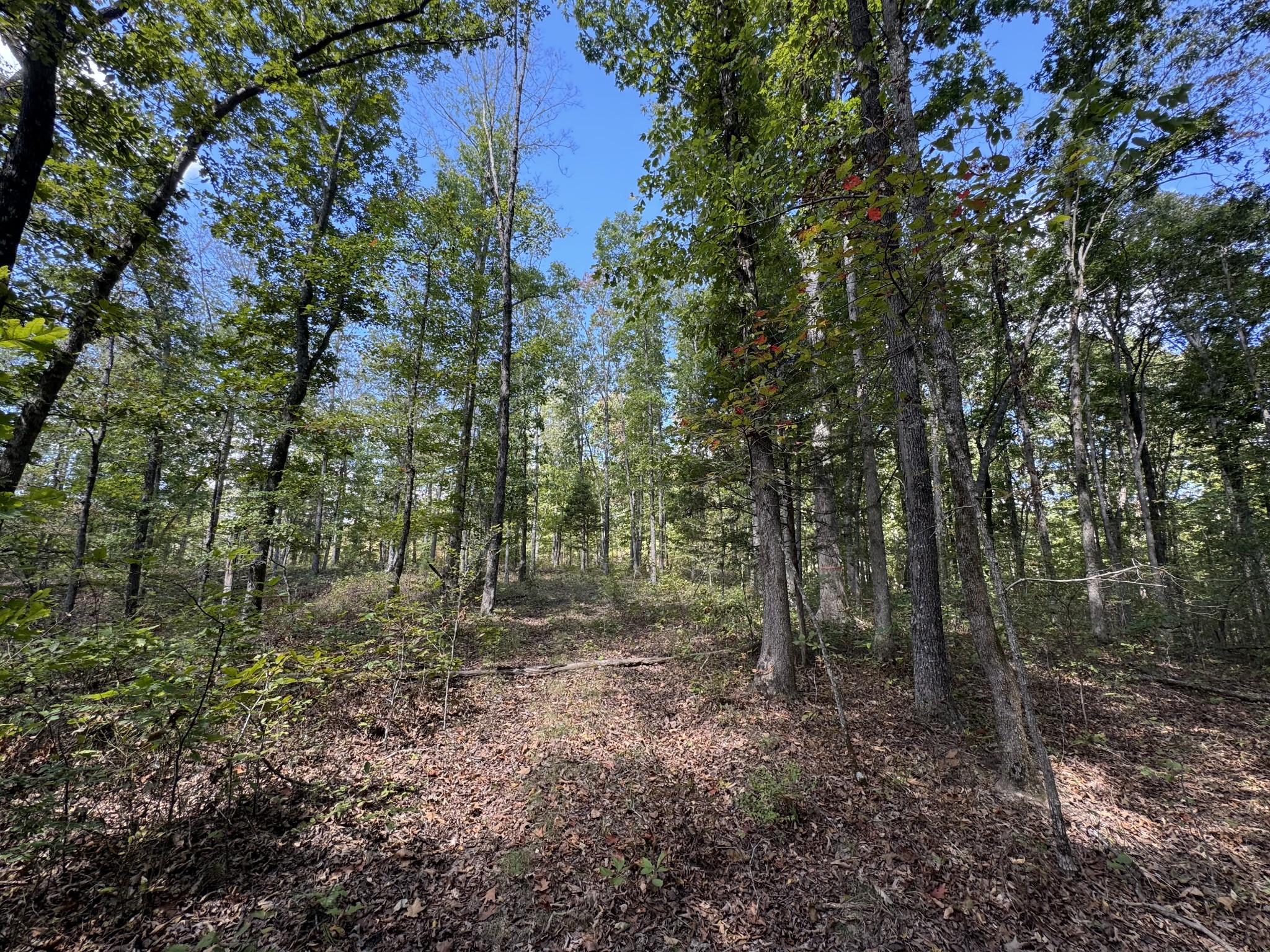 0 Highway 50 W Loop Centerville, TN 37033 - Photo 22 of 48