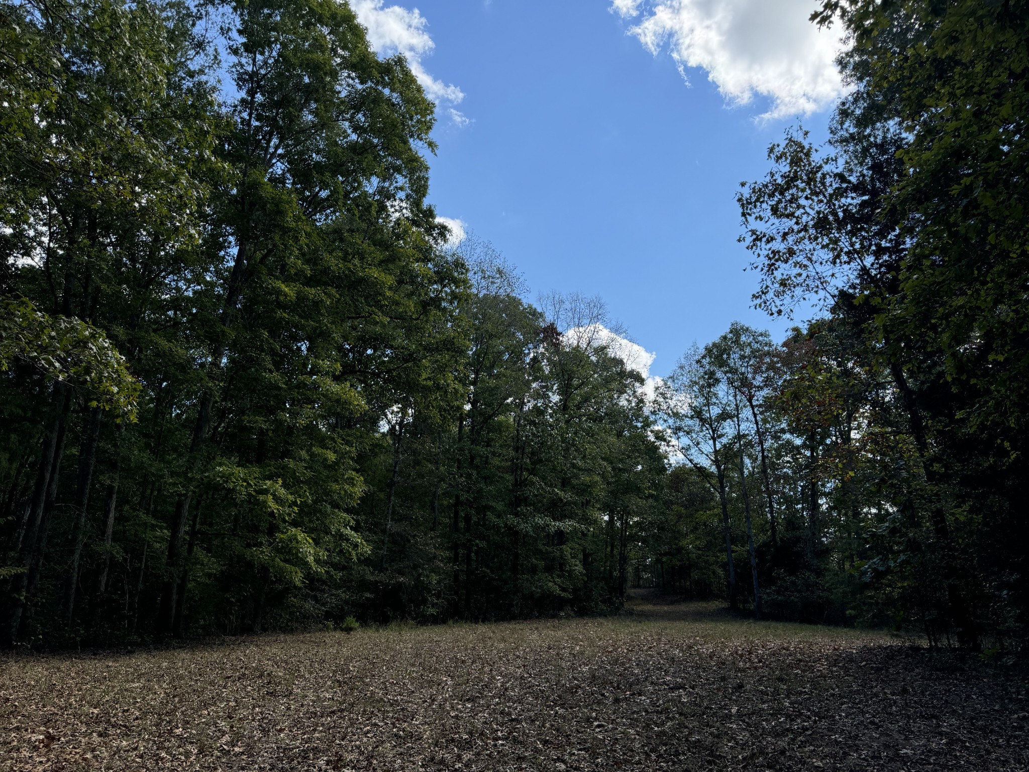 0 Highway 50 W Loop Centerville, TN 37033 - Photo 23 of 48