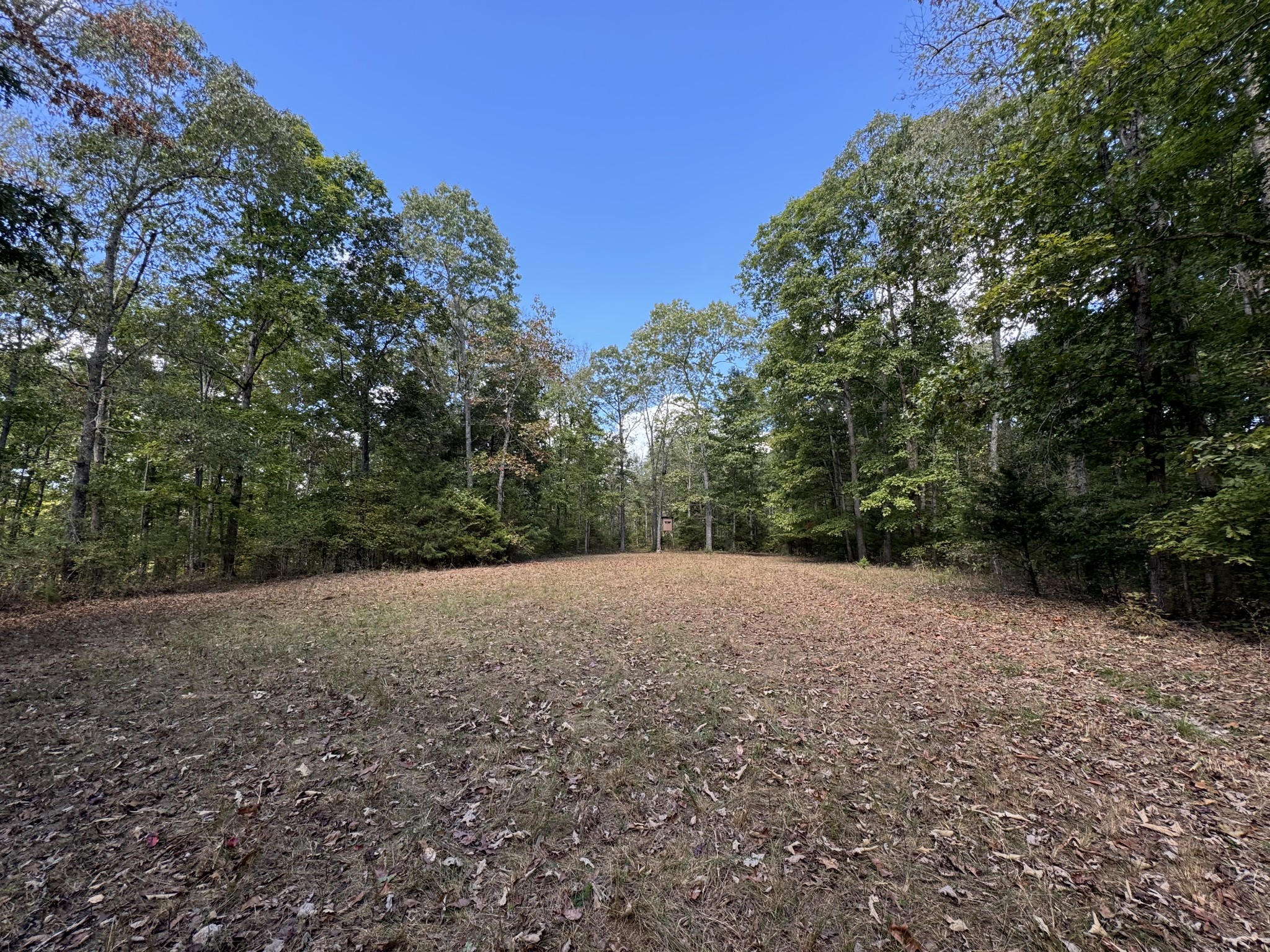 0 Highway 50 W Loop Centerville, TN 37033 - Photo 25 of 48