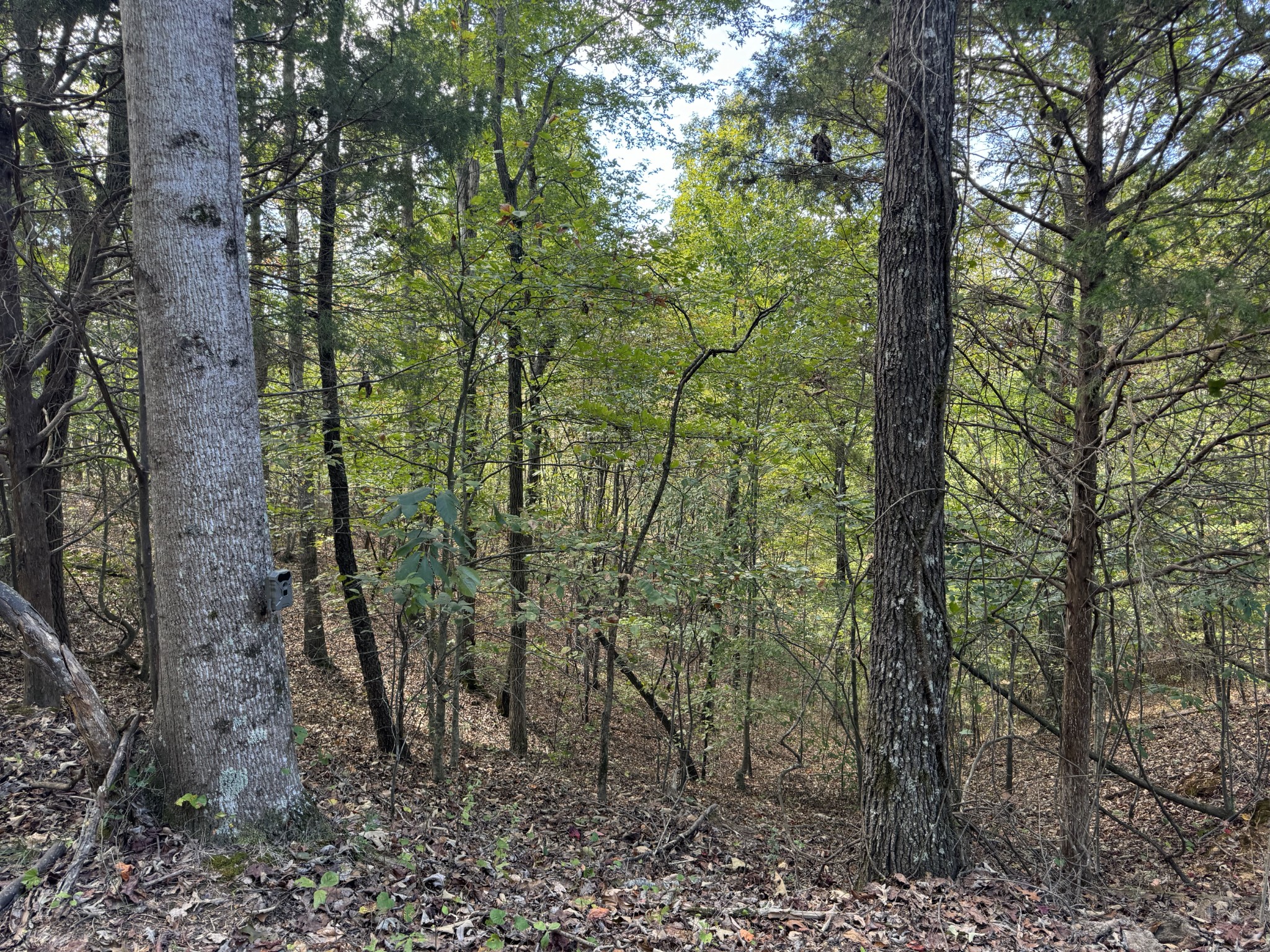 0 Highway 50 W Loop Centerville, TN 37033 - Photo 27 of 48