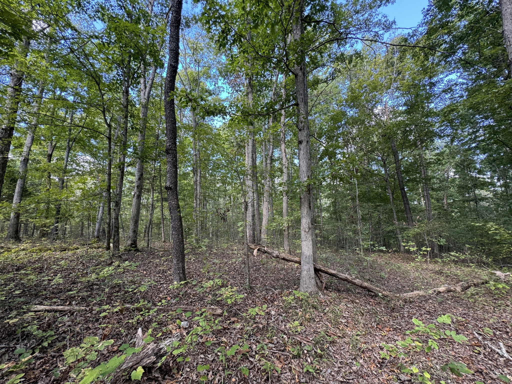 0 Highway 50 W Loop Centerville, TN 37033 - Photo 28 of 48