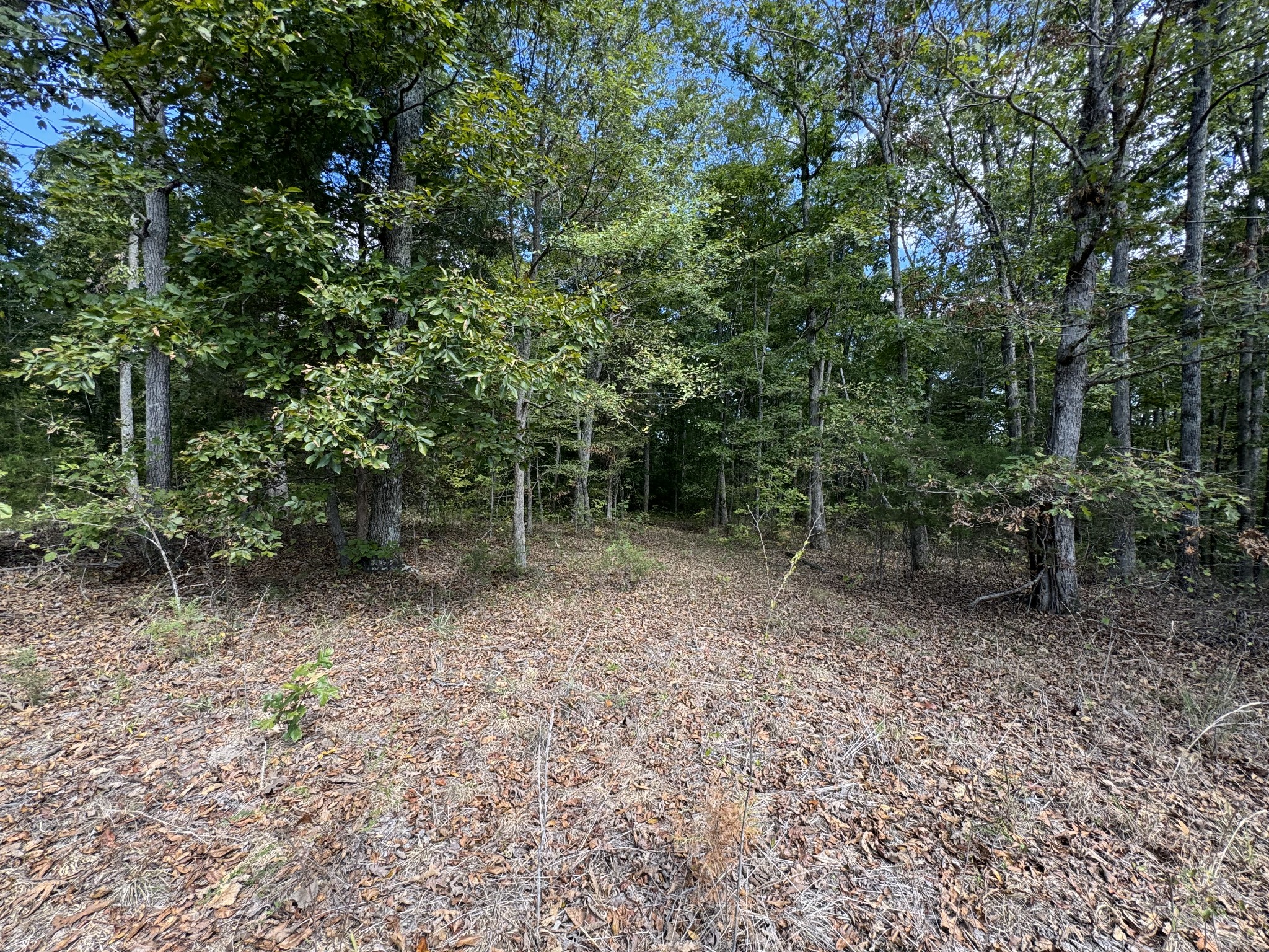 0 Highway 50 W Loop Centerville, TN 37033 - Photo 31 of 48