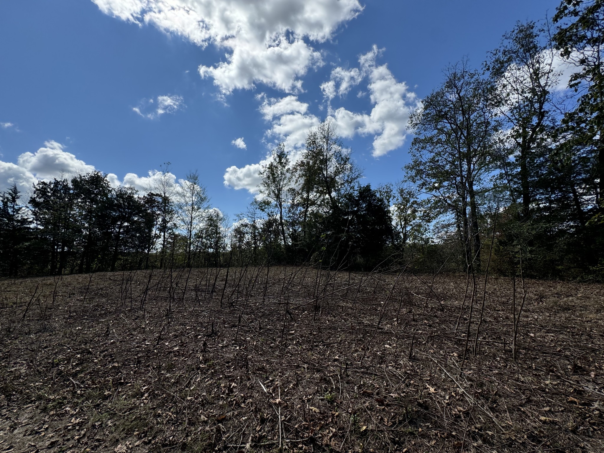 0 Highway 50 W Loop Centerville, TN 37033 - Photo 32 of 48