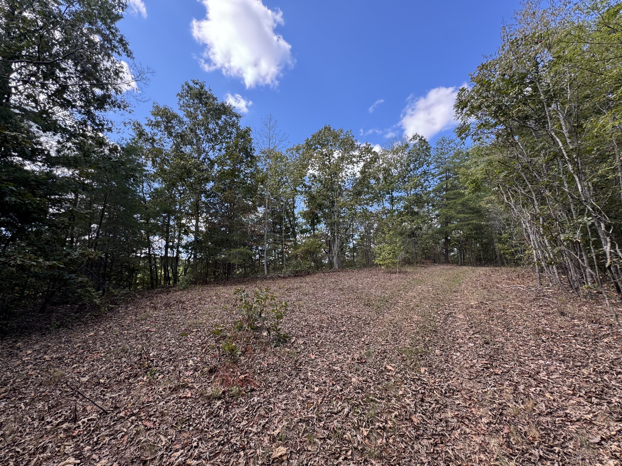 0 Highway 50 W Loop Centerville, TN 37033 - Photo 34 of 48