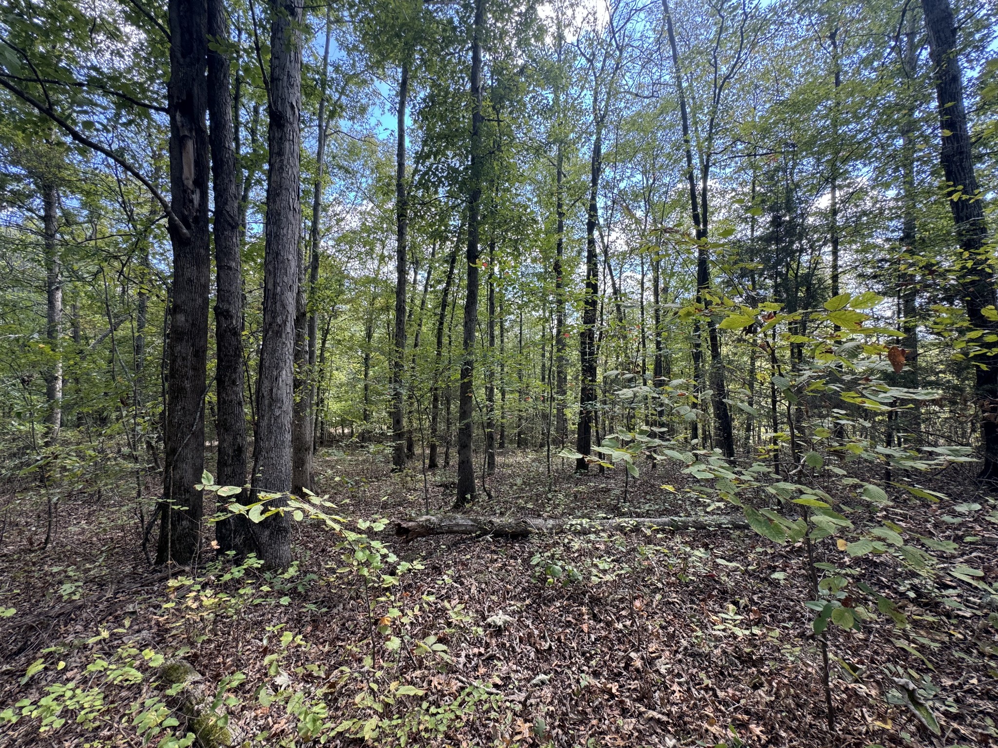 0 Highway 50 W Loop Centerville, TN 37033 - Photo 35 of 48