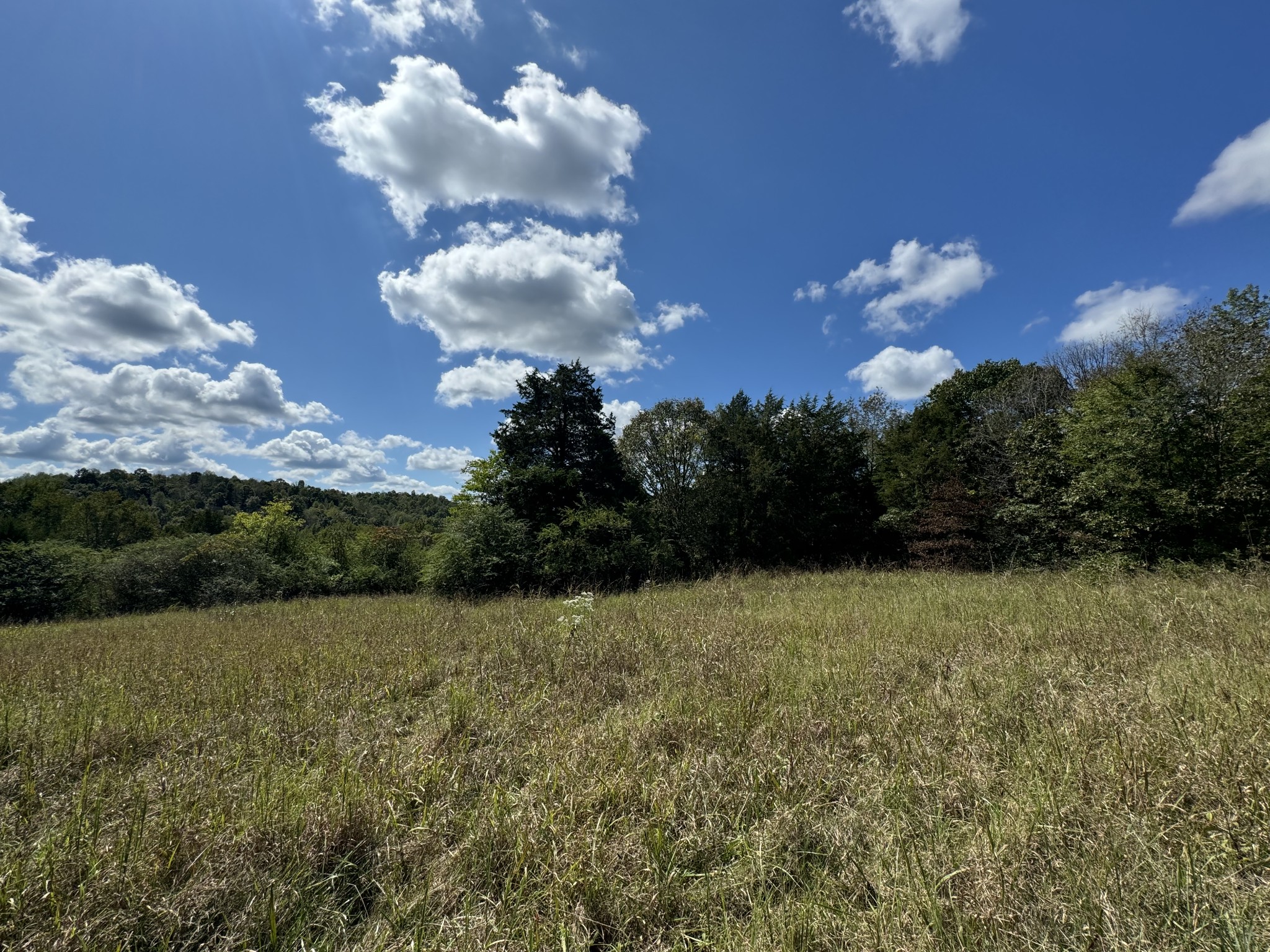 0 Highway 50 W Loop Centerville, TN 37033 - Photo 36 of 48