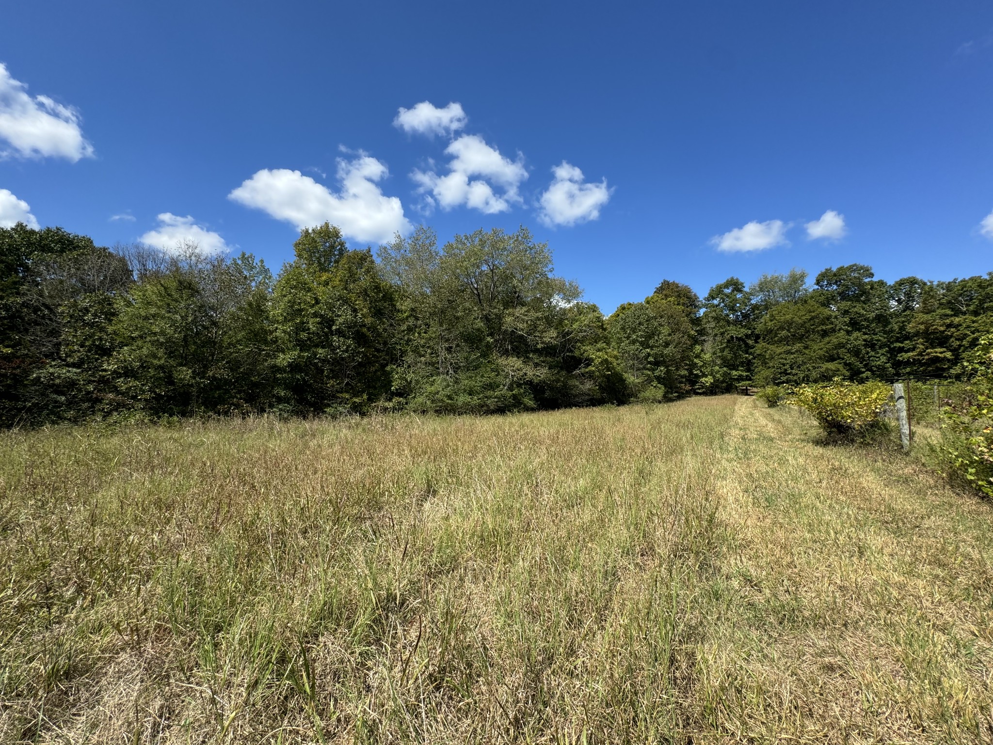 0 Highway 50 W Loop Centerville, TN 37033 - Photo 37 of 48