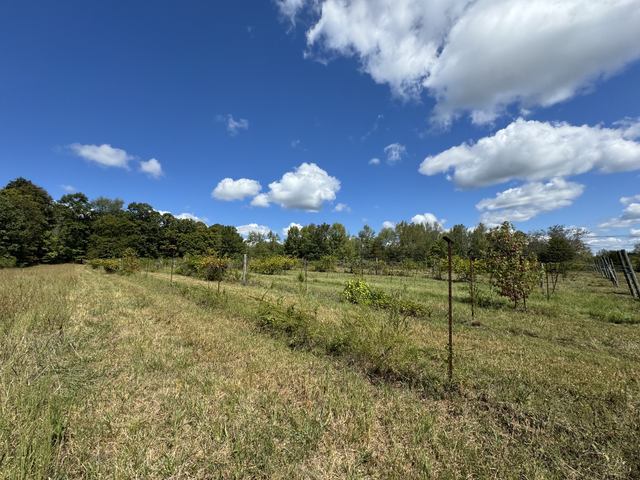 0 Highway 50 W Loop Centerville, TN 37033 - Photo 38 of 48