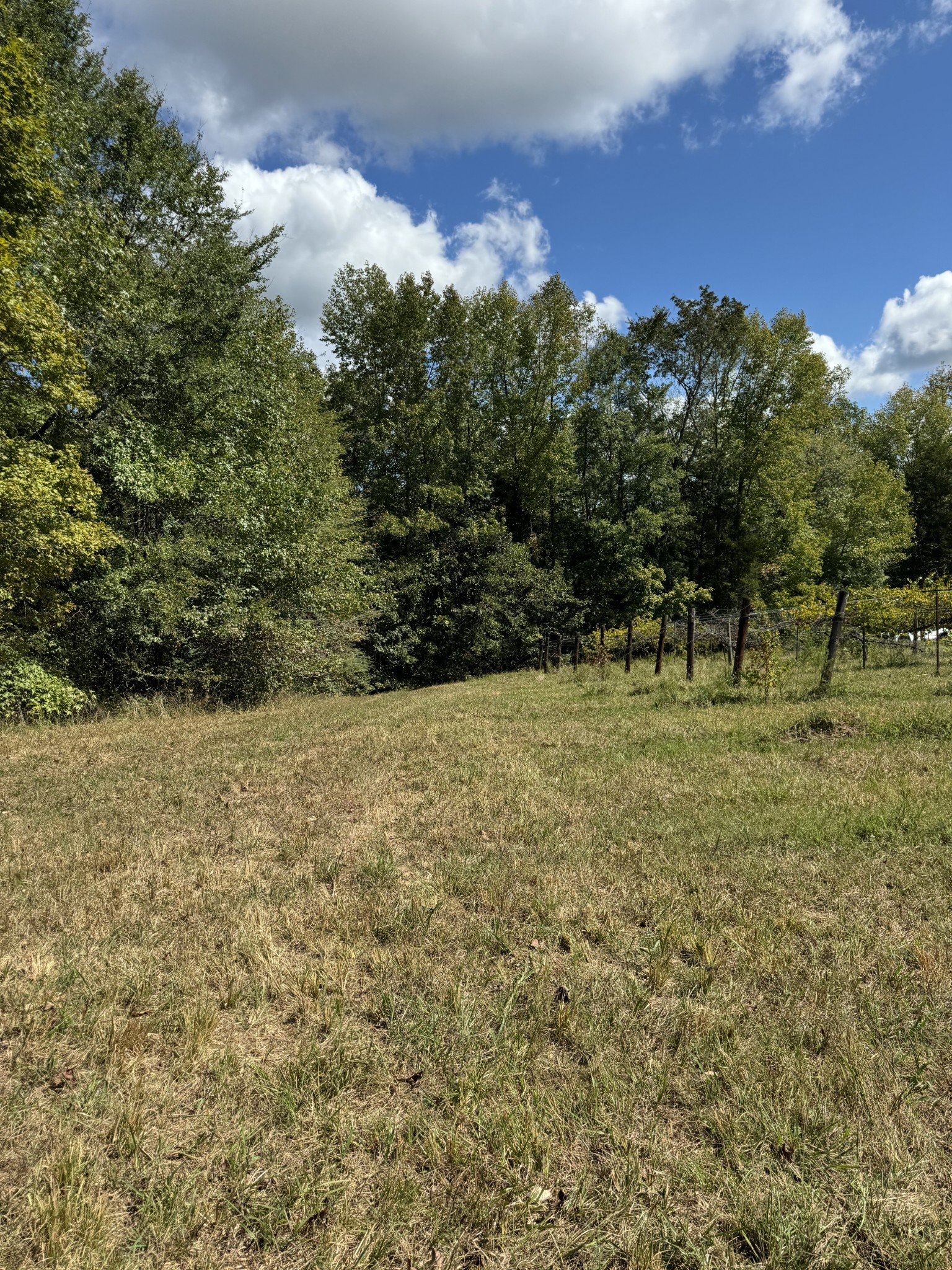 0 Highway 50 W Loop Centerville, TN 37033 - Photo 39 of 48