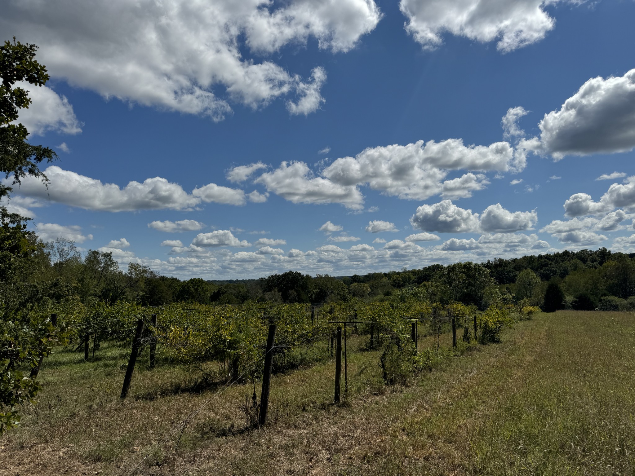 0 Highway 50 W Loop Centerville, TN 37033 - Photo 4 of 48