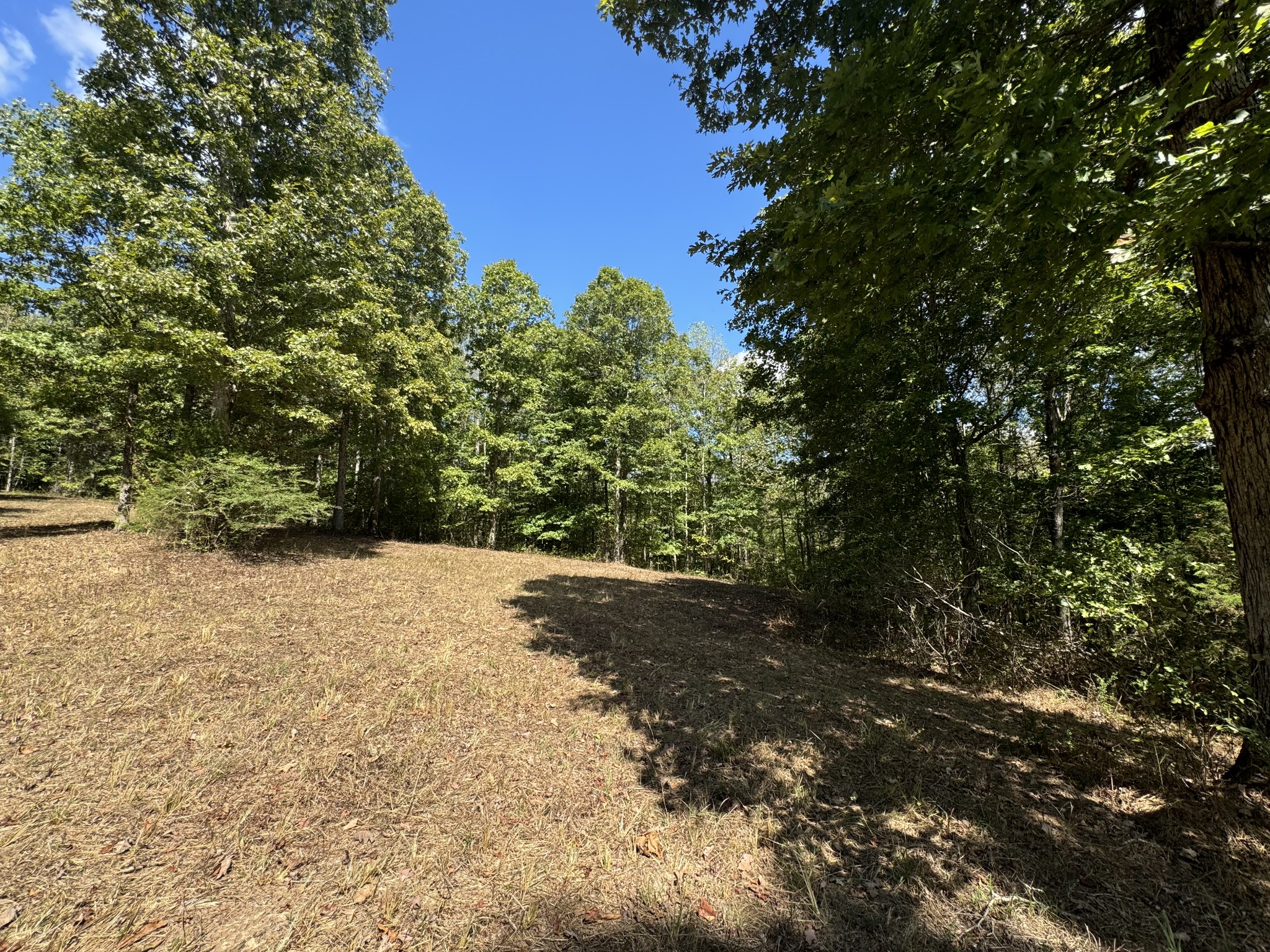 0 Highway 50 W Loop Centerville, TN 37033 - Photo 43 of 48